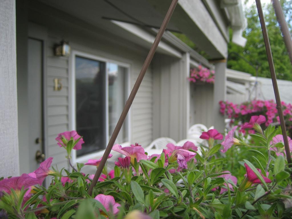 Golden Sands Resort Lake George Exterior foto